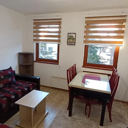 Vila Suri Centar Kopaonik Exterior photo