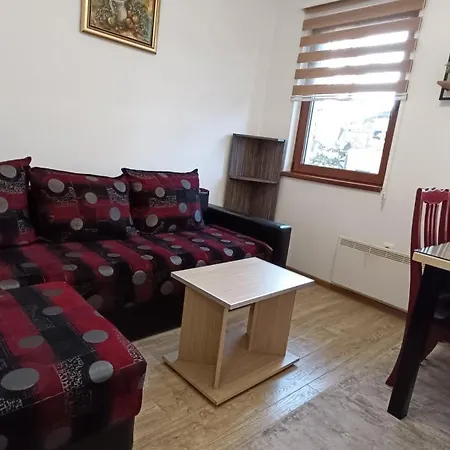 Vila Suri Centar Kopaonik Exterior photo