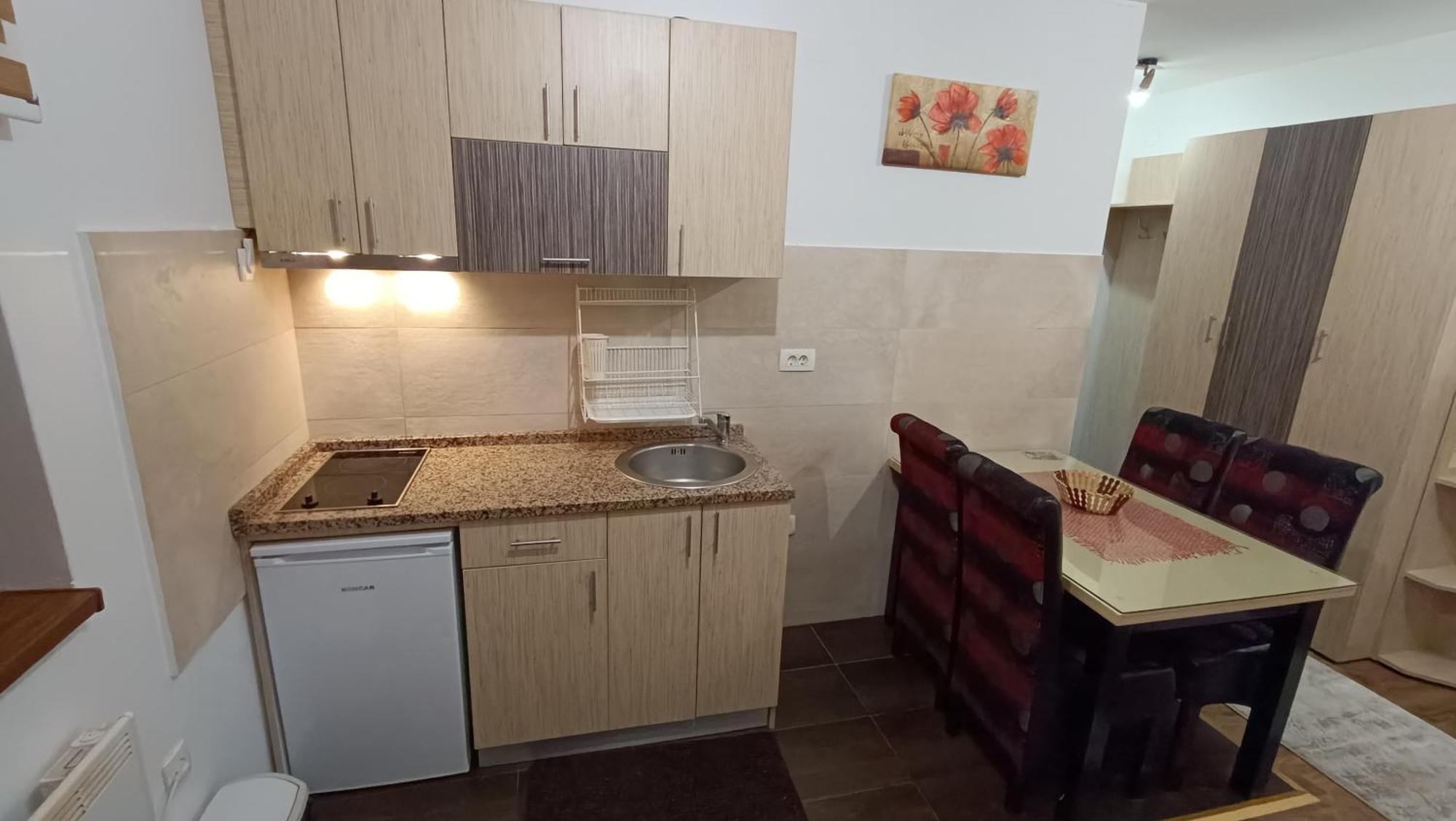 Apartment Suri Centar *